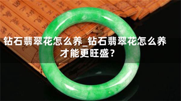 钻石翡翠花怎么养_钻石翡翠花怎么养才能更旺盛？