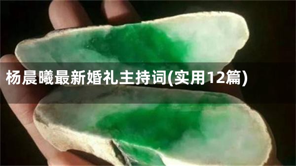 杨晨曦最新婚礼主持词(实用12篇)