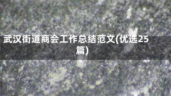 武汉街道商会工作总结范文(优选25篇)